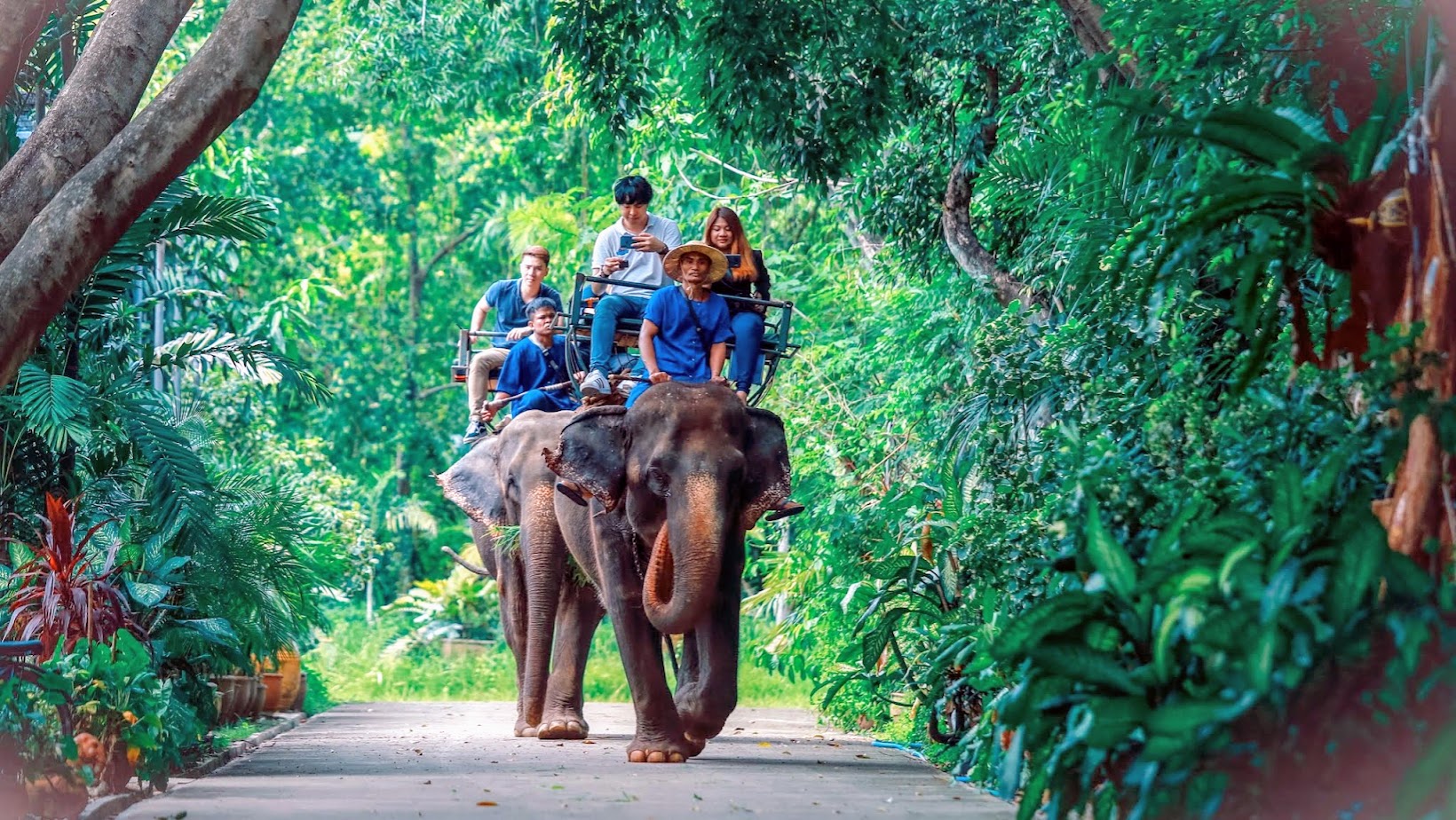 Samphran Elephant Group & Zoo